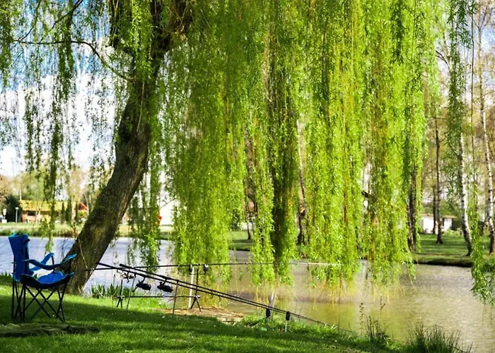 Camping Papillon Bouillon - Vakantiehuis Relax 4P